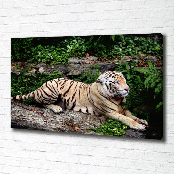 Quadro su tela Tigre su una roccia