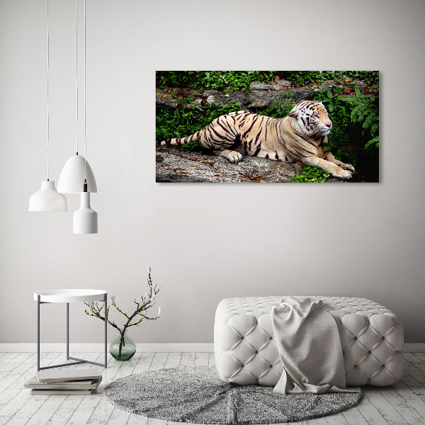 Quadro su tela Tigre su una roccia