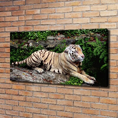 Quadro su tela Tigre su una roccia