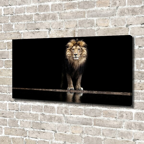 Foto quadro su tela Ritratto di un leone