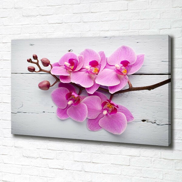 Quadro su tela Orchidea su legno