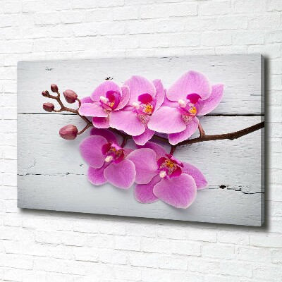 Quadro su tela Orchidea su legno