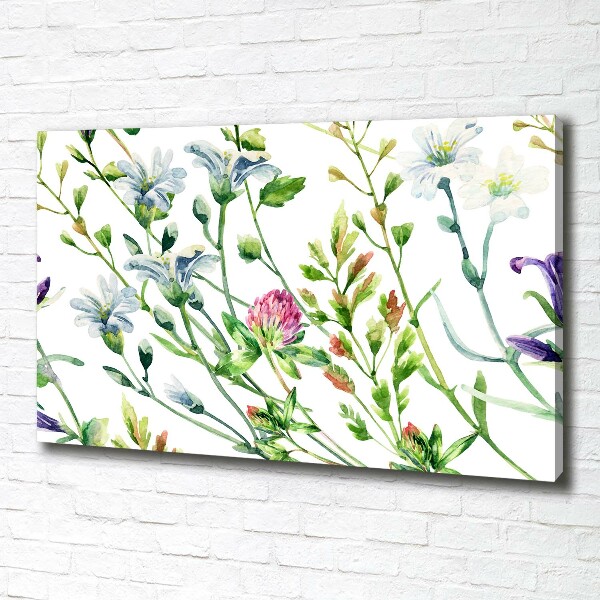 Quadro su tela Fiori selvatici