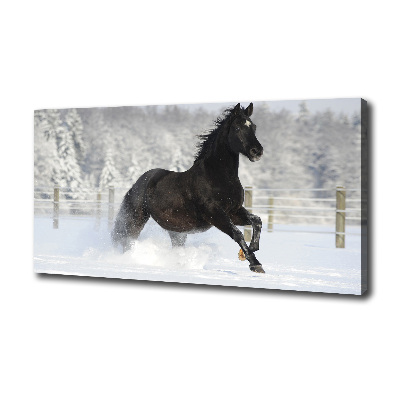 Quadro su tela Un cavallo al galoppo nella neve