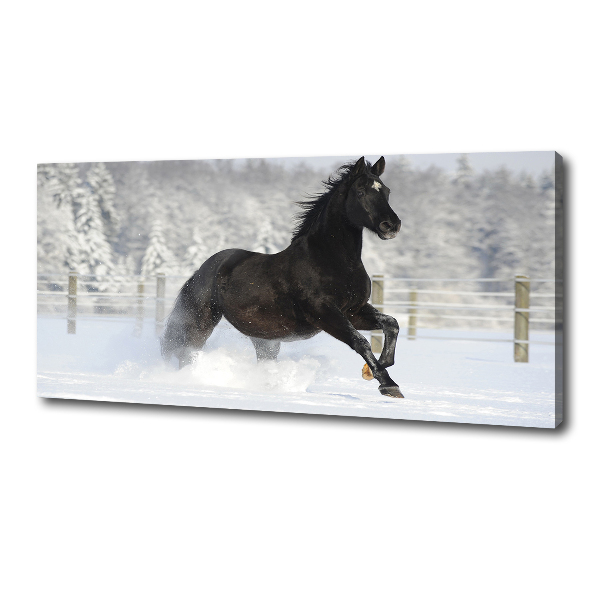 Quadro su tela Un cavallo al galoppo nella neve
