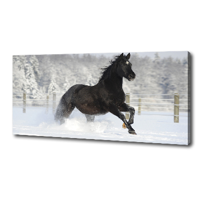 Quadro su tela Un cavallo al galoppo nella neve