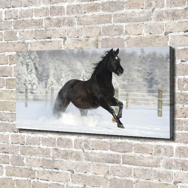 Quadro su tela Un cavallo al galoppo nella neve