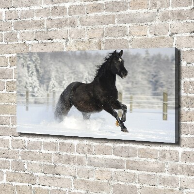 Quadro su tela Un cavallo al galoppo nella neve