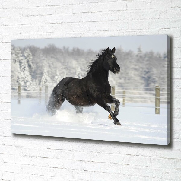Quadro su tela Un cavallo al galoppo nella neve