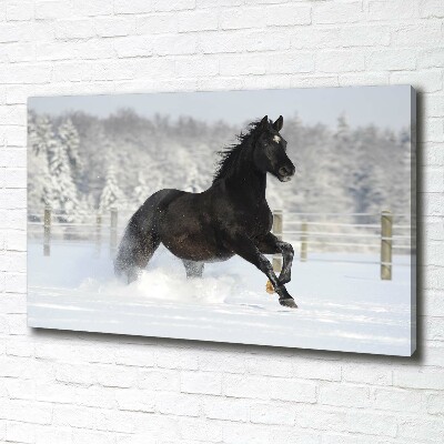 Quadro su tela Un cavallo al galoppo nella neve