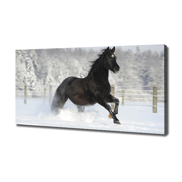 Quadro su tela Un cavallo al galoppo nella neve
