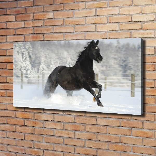 Quadro su tela Un cavallo al galoppo nella neve