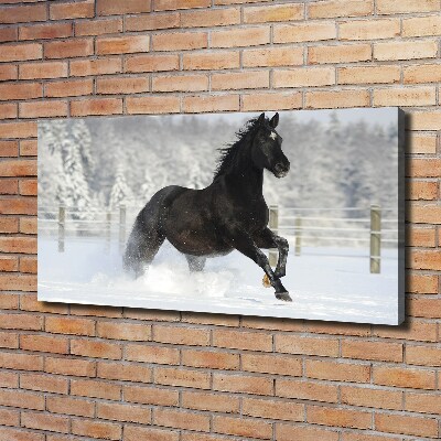 Quadro su tela Un cavallo al galoppo nella neve