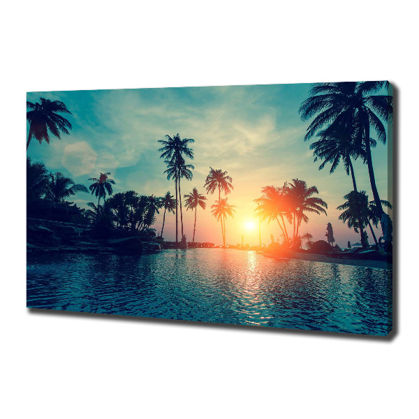 Foto quadro su tela Tramonto di Palme