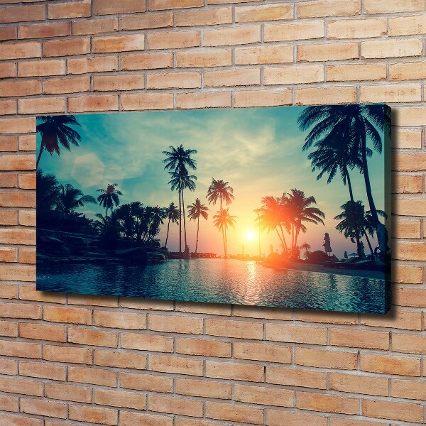 Foto quadro su tela Tramonto di Palme