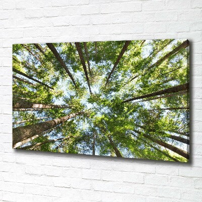 Quadro su tela Chioma dell'albero