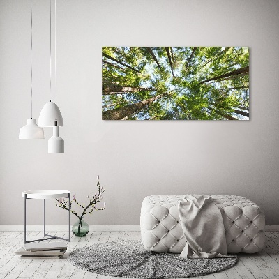 Quadro su tela Chioma dell'albero