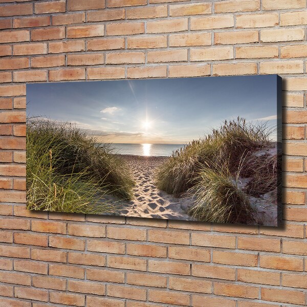 Foto quadro su tela Dune costiere