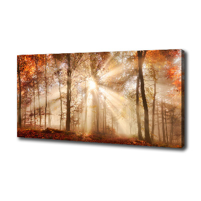 Quadro su tela Nebbia nella foresta autunnale