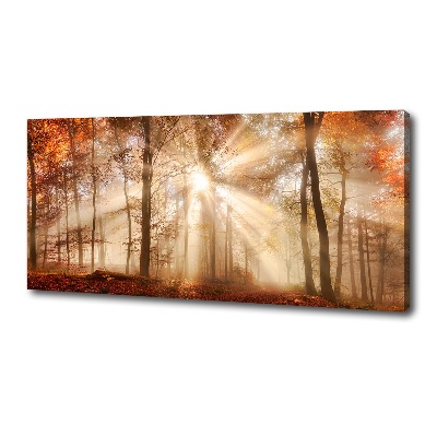 Quadro su tela Nebbia nella foresta autunnale