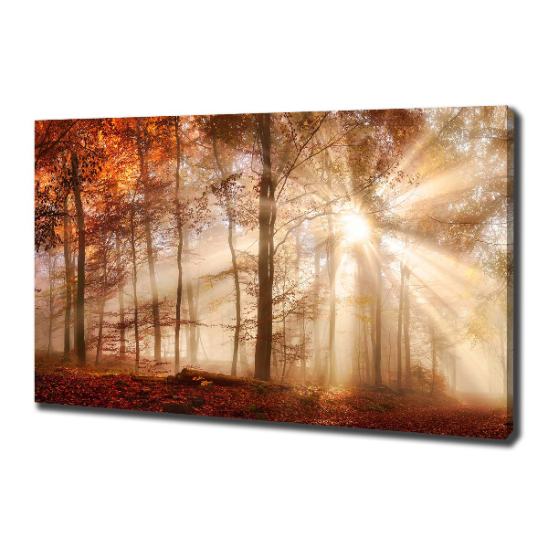 Quadro su tela Nebbia nella foresta autunnale
