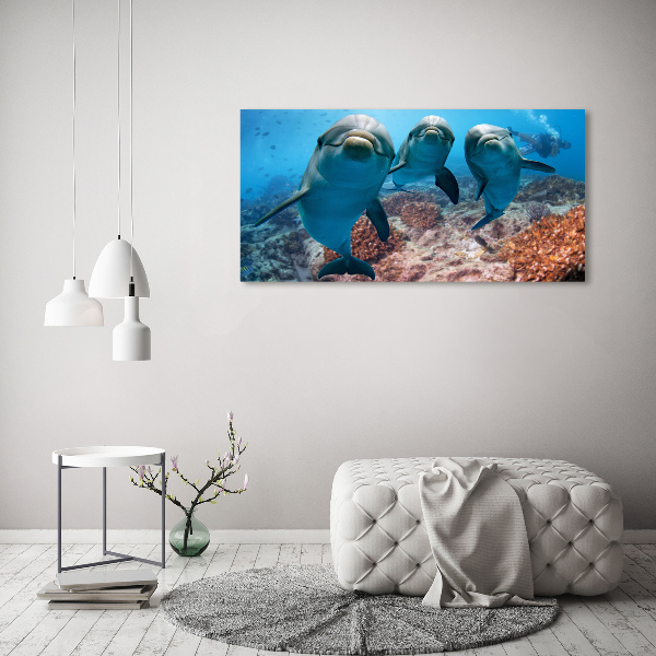 Quadro stampa su tela Delfini