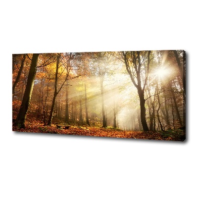 Foto quadro su tela Nebbia nella foresta