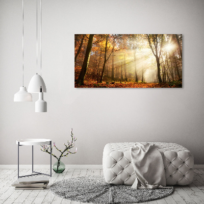 Foto quadro su tela Nebbia nella foresta