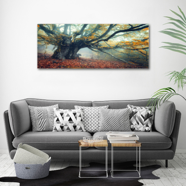 Foto quadro su tela Vecchio albero