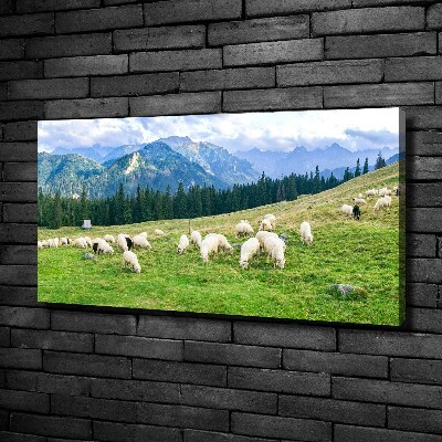 Quadro su tela Pecore sui monti Tatra