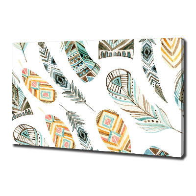 Foto quadro su tela Piume etniche