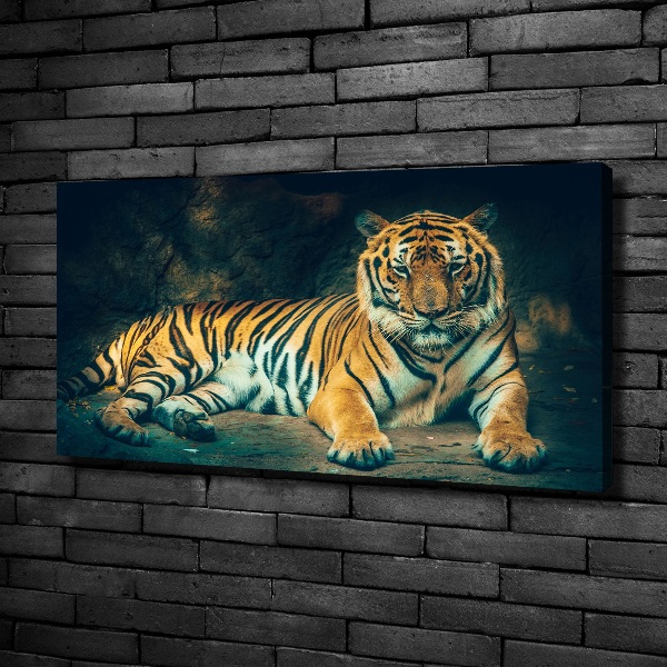Quadro stampa su tela La tigre nella caverna