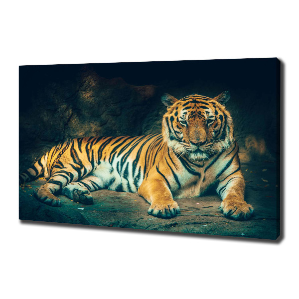 Quadro stampa su tela La tigre nella caverna