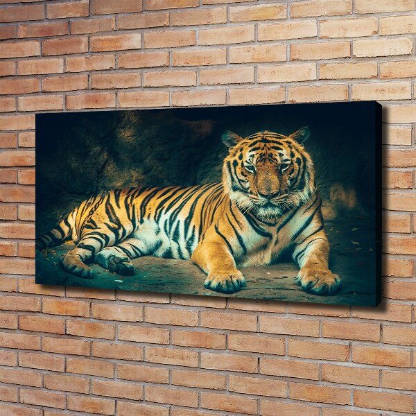 Quadro stampa su tela La tigre nella caverna