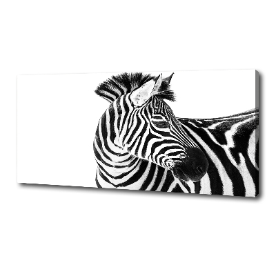 Quadro su tela Zebra nella neve