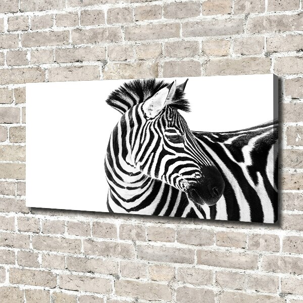 Quadro su tela Zebra nella neve