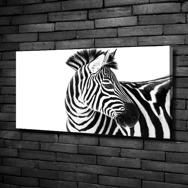Quadro su tela Zebra nella neve