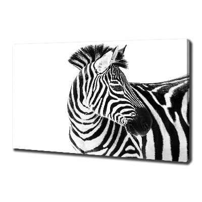 Quadro su tela Zebra nella neve