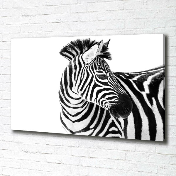 Quadro su tela Zebra nella neve