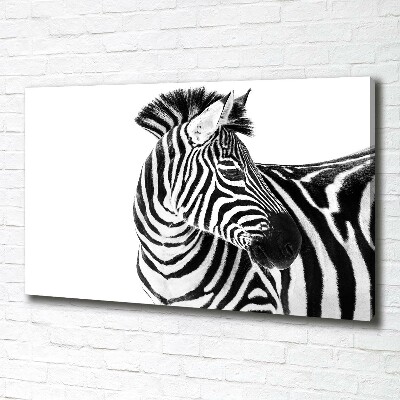 Quadro su tela Zebra nella neve