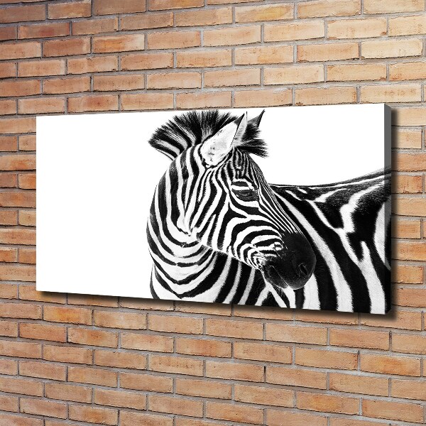 Quadro su tela Zebra nella neve