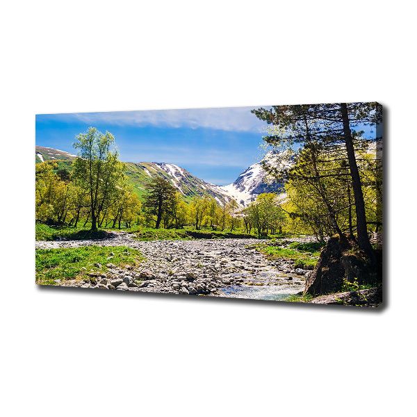 Quadro stampa su tela Un fiume tra le montagne
