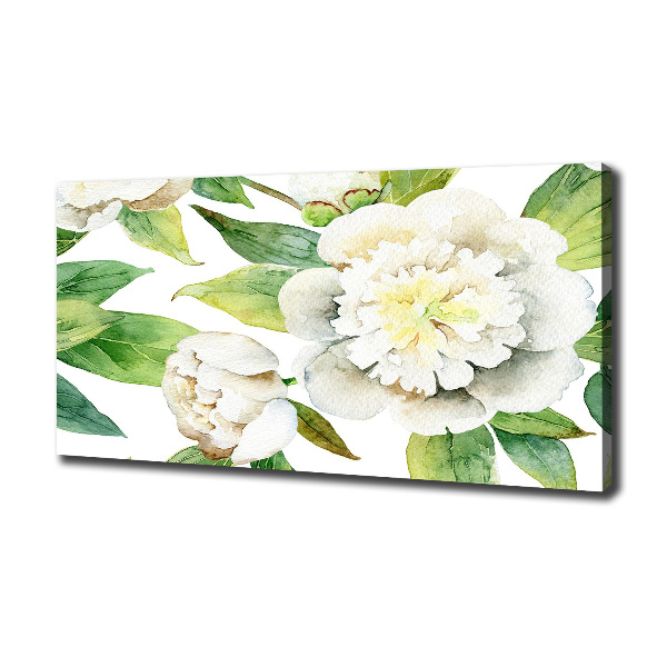 Quadro su tela Peonie