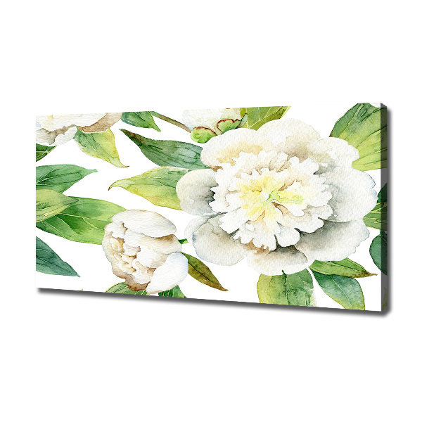 Quadro su tela Peonie