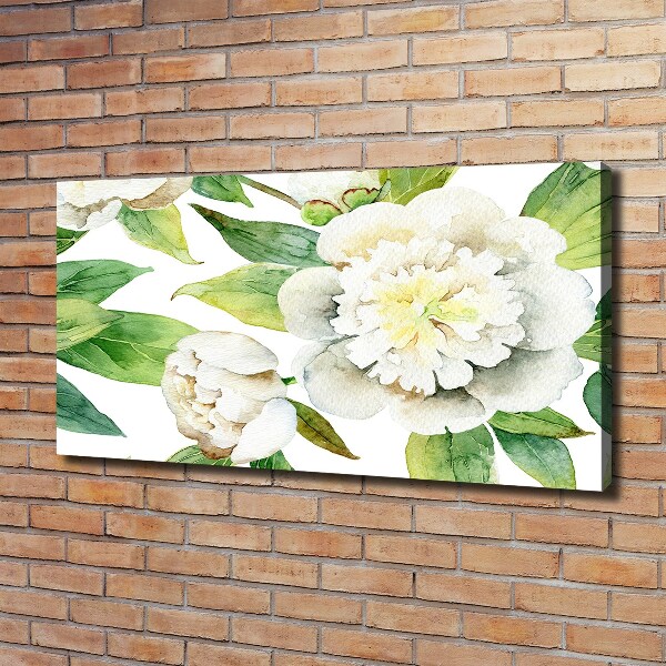 Quadro su tela Peonie