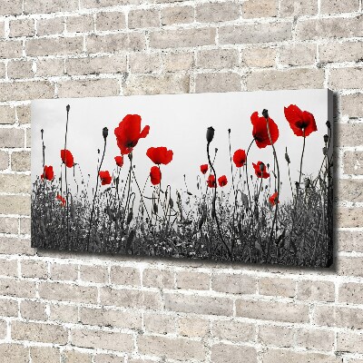Quadro stampa su tela Papaveri