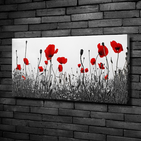 Quadro stampa su tela Papaveri