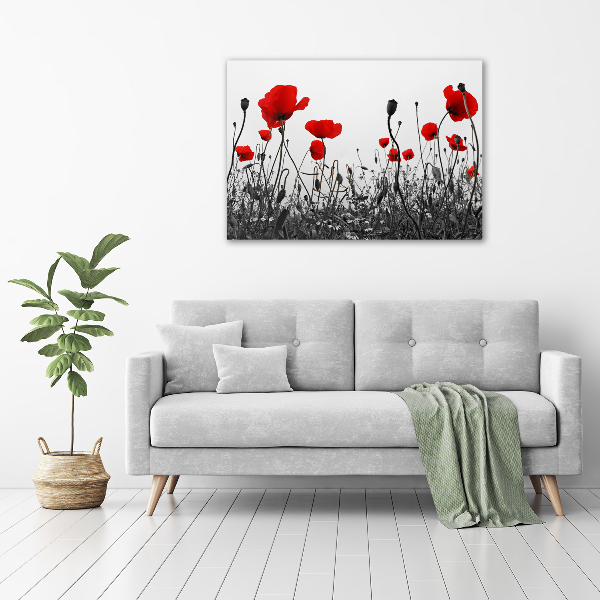 Quadro stampa su tela Papaveri