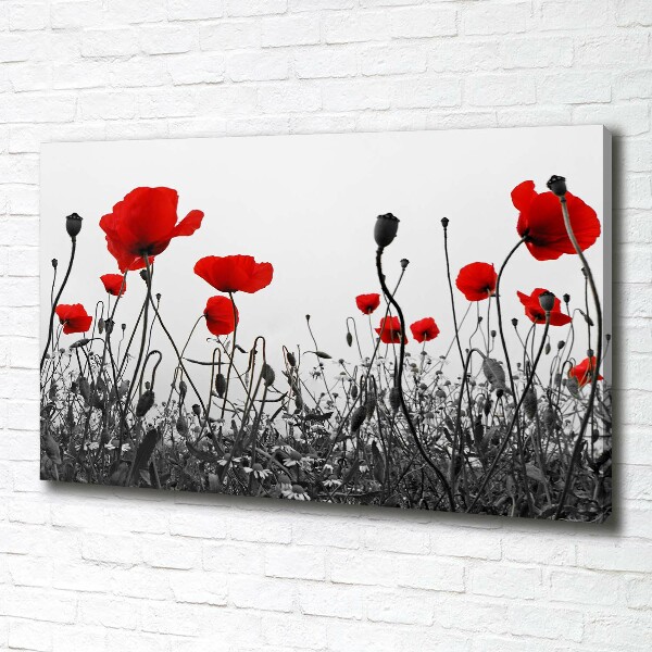 Quadro stampa su tela Papaveri