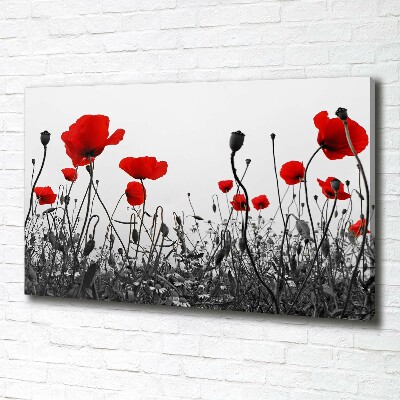 Quadro stampa su tela Papaveri